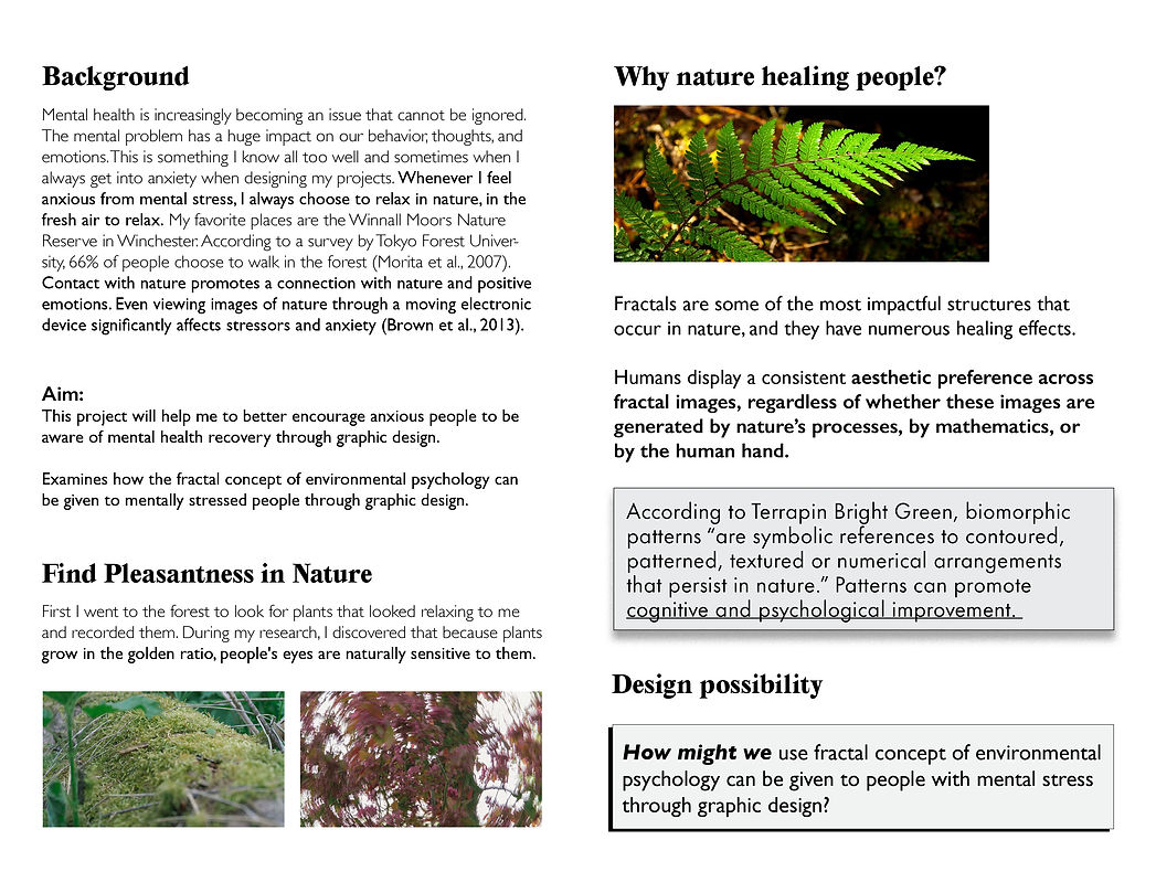 Fractal Healing background research and design context