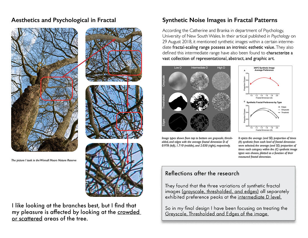 Fractal aesthetics and synthetic noise research