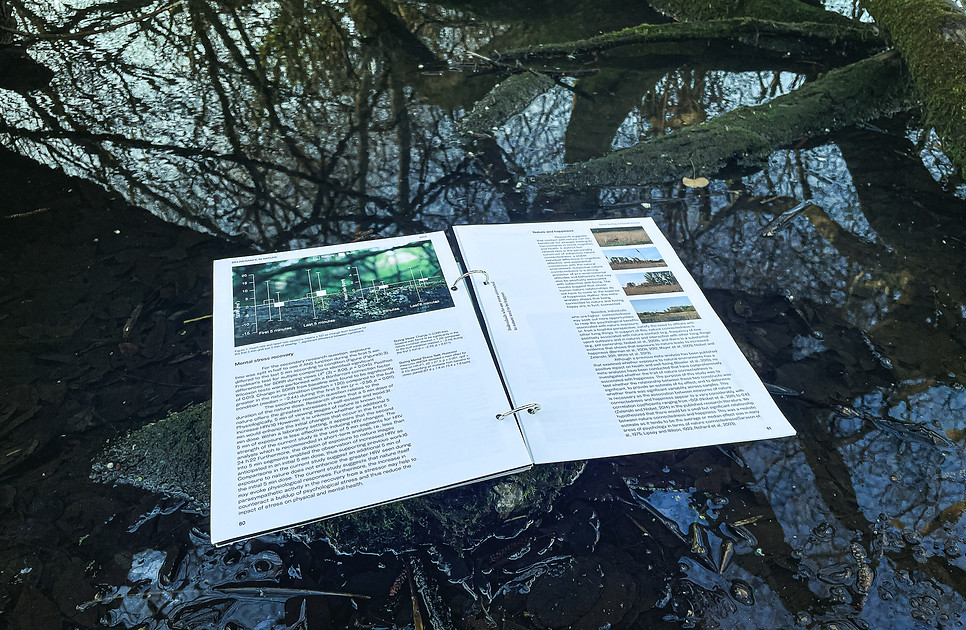 Fractal Healing publication photographed beside water
