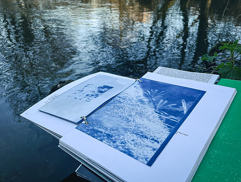 Cyanotype publication photographed beside water