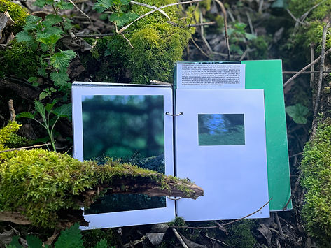 Fractal Healing publication displayed in woodland