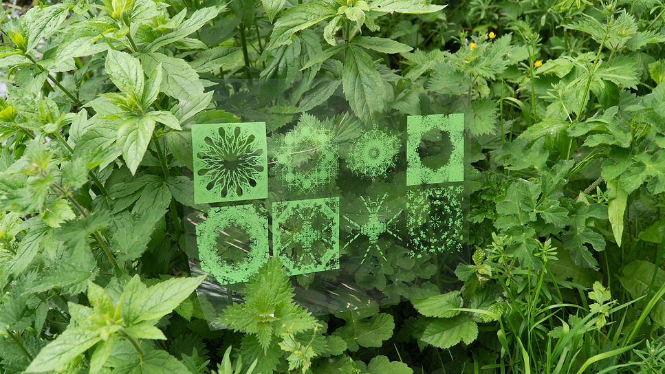 Green fractal prints displayed among plants